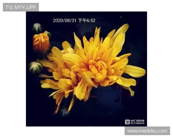 尊龙凯时中国人生：如何通过游戏体验丰富个人生活与人生感悟