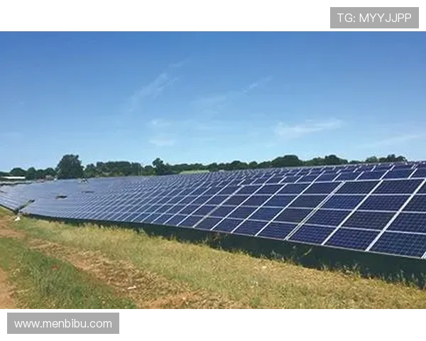 尊龙凯时质谱系统在生物医学研究中的应用与优势解析 尊龙凯时质谱系统在生物医学研究中的应用与优势解析